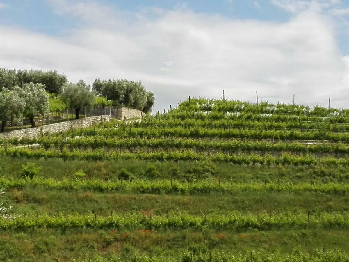 B&B Corte Giare Sant'Ambrogio di Valpolicella Bagian luar foto